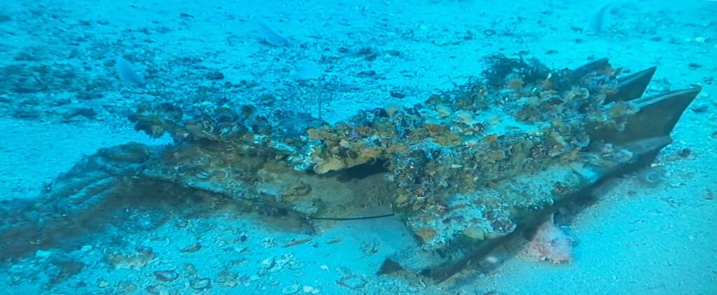 Galleria foto 'Sicilia, ritrovato rostro della Prima Guerra Punica nel mare al largo di Levanzo' - foto 3