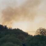 Incendi: fiamme anche sull’Etna