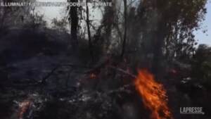 Amazzonia: in un anno oltre 10mila kmq di foresta scomparsi in Brasile