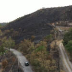 Incendi in Sicilia: fermati due allevatori presunti piromani, sono padre e figlio