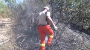 Incendi in Calabria, assessore Gallo: “Momento difficile, faccio appello al senso civico”