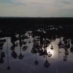 Paraguay, le acque di Paraguarì rosa a causa dell’inquinamento