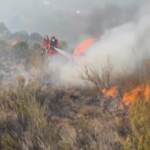 Incendi in Spagna, le fiamme minacciano anche campi e animali