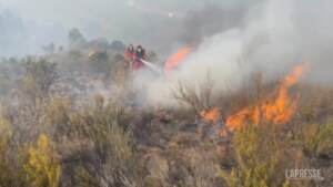 Incendi in Spagna, le fiamme minacciano anche campi e animali