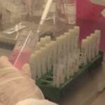 Covid, ancora immuni a un anno dalla malattia: lo studio su Ariano Irpino