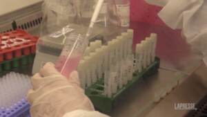Covid, ancora immuni a un anno dalla malattia: lo studio su Ariano Irpino