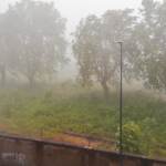 Maltempo nel Nord-Est: almeno 200 interventi in Alto Adige