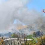 Incendi: altra vittima in Calabria, 78enne trovato carbonizzato