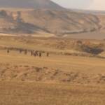 Afghanistan: in fuga dai talebani, profughi arrivano in Turchia dal confine iraniano