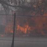 Grecia: fuoco a nord di Atene, l’incendio va avanti da 4 giorni