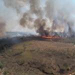 Brasile, a fuoco riserva nel parco di Juquery