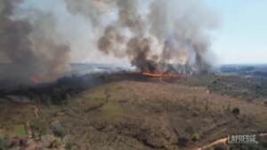 Brasile, a fuoco riserva nel parco di Juquery