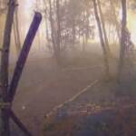 Usa: telecamera cattura l’esplosione di un incendio nella foresta del Minnesota