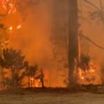 Usa, continua a bruciare il nordest della California: le drammatiche immagini