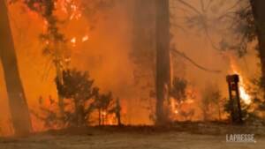 Usa, continua a bruciare il nordest della California: le drammatiche immagini