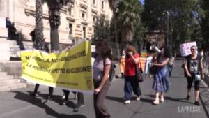 Roma, comparto della scuola contro il Green Pass: manifestazione sotto il Ministero dell’Istruzione