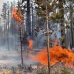 California, incendi: il vento favorisce il lavoro dei vigili del fuoco