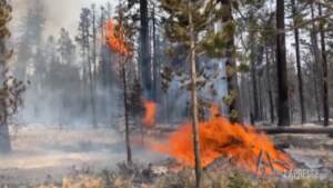 California, incendi: il vento favorisce il lavoro dei vigili del fuoco