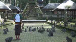 Bali, mancano turisti al santuario ‘Monkey forest’: le scimmie rubano cibo nei villaggi