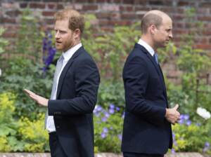 Principe William