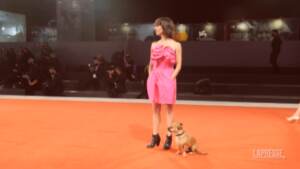 Venezia 78, anche il cagnolino di Ana Lily Amirpour sul red carpet