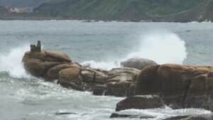 Taiwan, il tifone Chanthu si avvicina alla costa