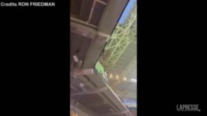 Miami, il gatto ‘penzolante’ cade e viene salvato allo stadio