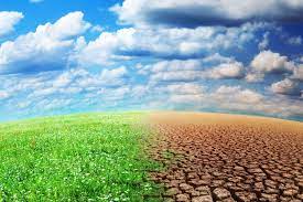 Le changement climatique menacerait un milliard d’enfants