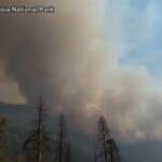 California, incendi nel Sequoia National Park: a rischio il Generale Sherman