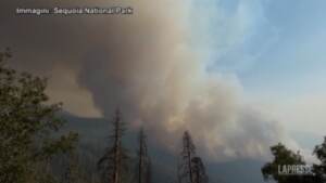 California, incendi nel Sequoia National Park: a rischio il Generale Sherman