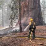 Usa, pompieri al lavoro per liberare la California dalle fiamme