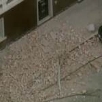 Australia: sisma di magnitudo 5.9 nella periferia di Melbourne, danni anche in città