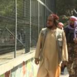 Afghanistan, talebani in visita allo zoo di Kabul