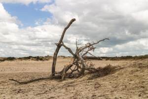 Leaders to UN: A warmer world is a more violent one, too