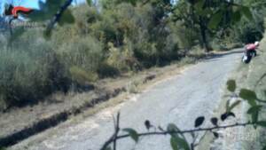 Potenza, arrestato piromane che ha appiccato fuoco in un bosco