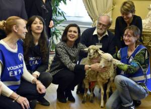 Giornata degli animali