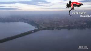 Mantova, percepivano indebitamente reddito di cittadinanza: 234 denunciati
