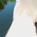 Australia: coccodrillo salta fuori dall’acqua e abbatte il drone