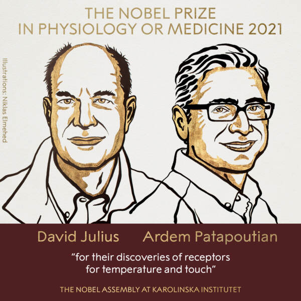 Nobel per la medicina a David Julius e Ardem Patapoutian