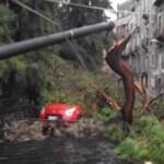 Tromba d’aria a Catania, alberi e lampioni caduti: “Ci stiamo tropicalizzando”