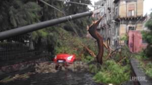 Tromba d’aria a Catania, alberi e lampioni caduti: “Ci stiamo tropicalizzando”
