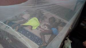 Malaria vaccine approved by WHO is first ever against killer disease