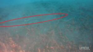Usa, le immagini del guasto all’oleodotto sul fondo dell’Oceano al largo della California