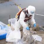 California, 572 mila litri di greggio in mare: le correnti lo stanno disperdendo