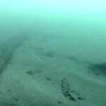 Usa, si indaga sul disastro ambientale nella costa californiana