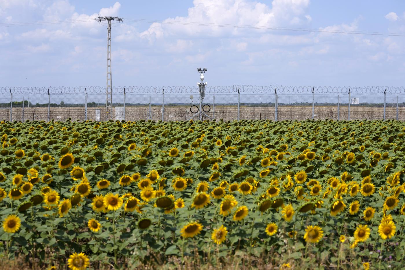 Ue, 12 stati chiedono muri alle frontiere per fermare migranti