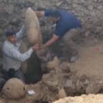 Israele, ritrovati alcuni straordinari reperti in una casa di antichi vignaioli a Yavne