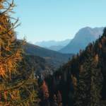 Nuove foreste valgono 2,6 mln all’anno, mappa dei progetti per 450mila alberi