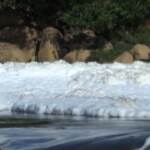 Brasile, paura a San Paolo: il fiume Tiete coperto da schiuma tossica