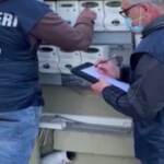 Caserta, furti e truffe milionarie ai danni di aziende luce e gas: 14 arresti
